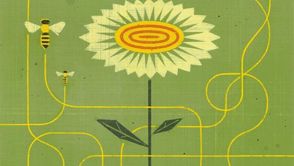 The new battleground for marketing-led growth | McKinsey & Company